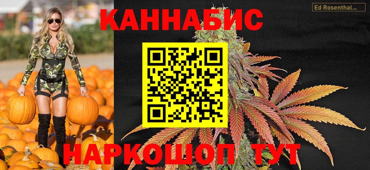 Каннабис планчик Кохма